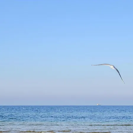 2 Bedroom Cozy In Apartament *