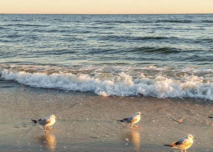 شقة 2 Bedroom Cozy In Jezierzany