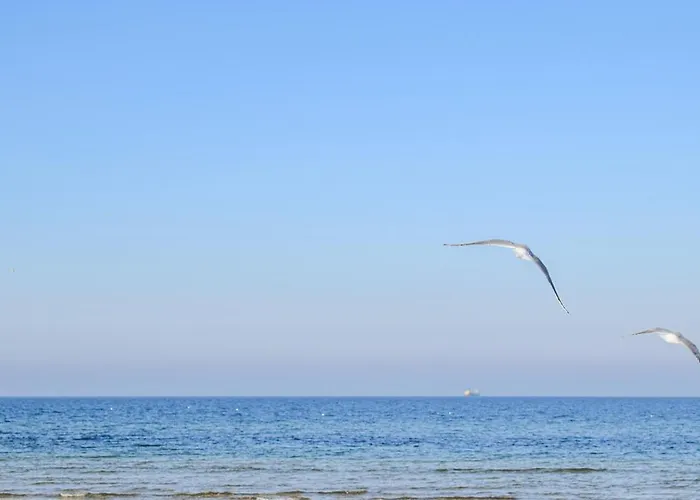 2 Bedroom Cozy In شقة *